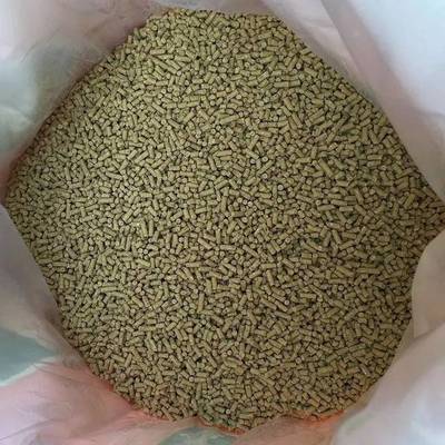 政策与市场双轮驱动，中国生物农业究竟能否在饲料领域率先爆发？