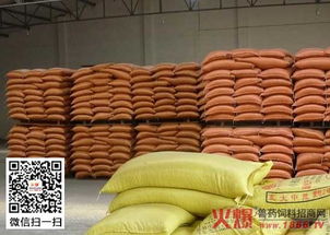 水产饲料霉变相关问题详细分析